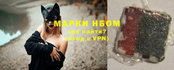 гашик Алексеевка