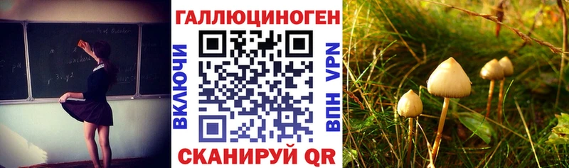 Галлюциногенные грибы мухоморы  наркота  Заинск 