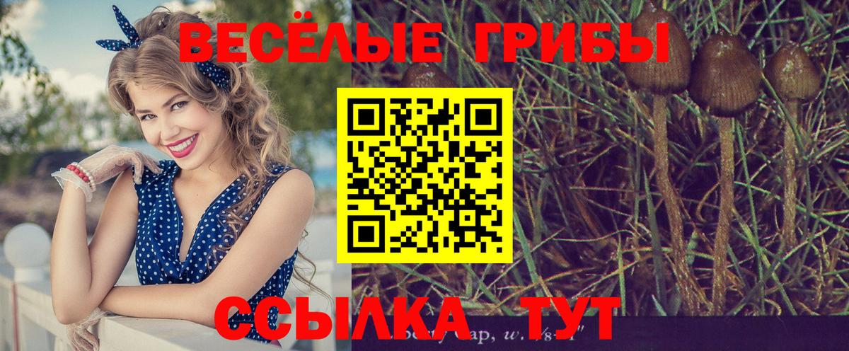 Галлюциногенные грибы GOLDEN TEACHER Заинск